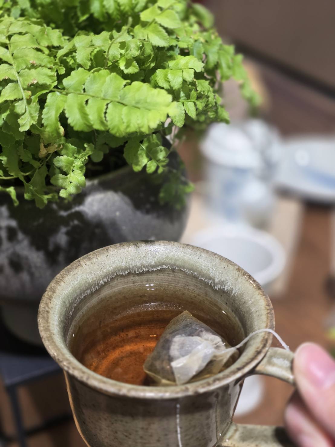 度母茶包|一杯收心的力量