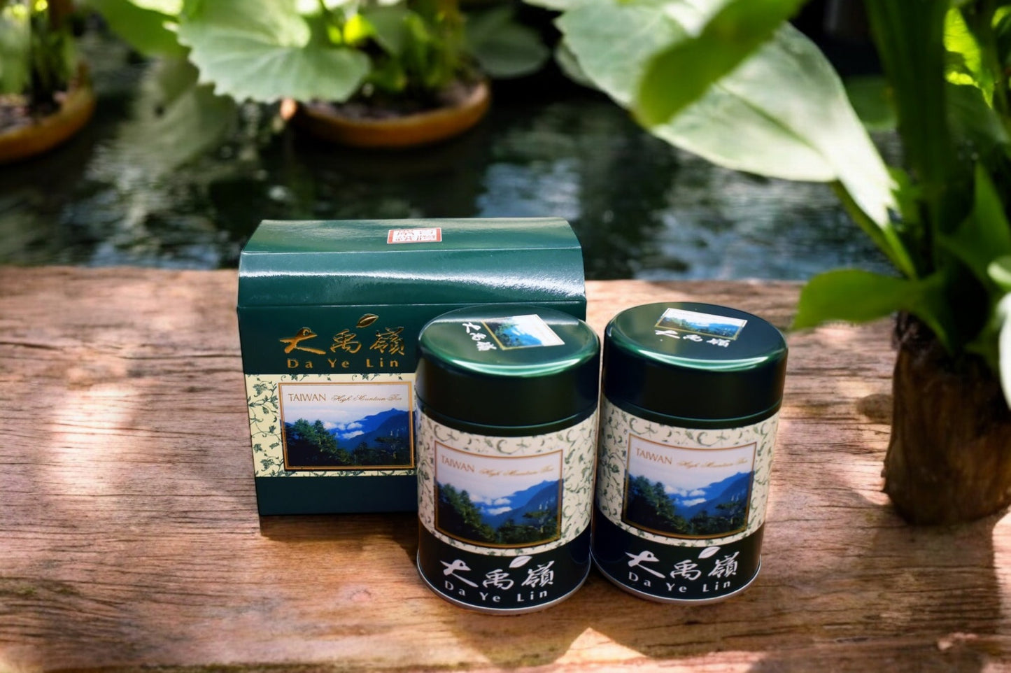大禹嶺|冷冽高山茶